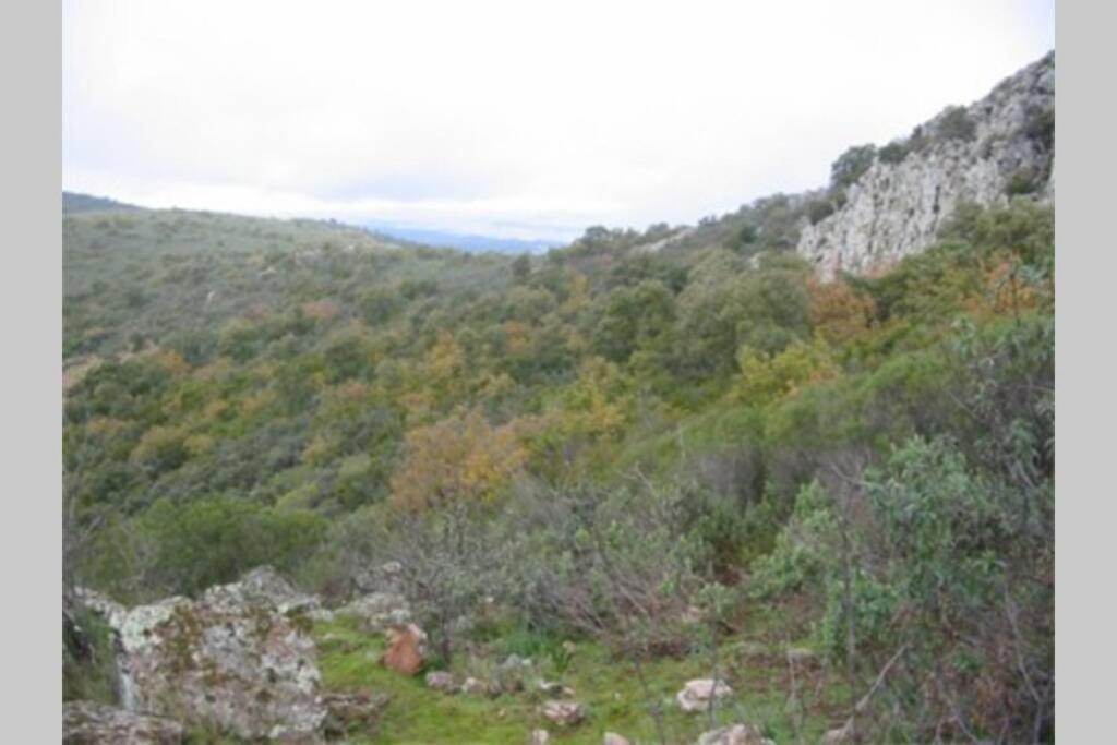 Cortijo Era Grande 2 Villa Córdoba Buitenkant foto