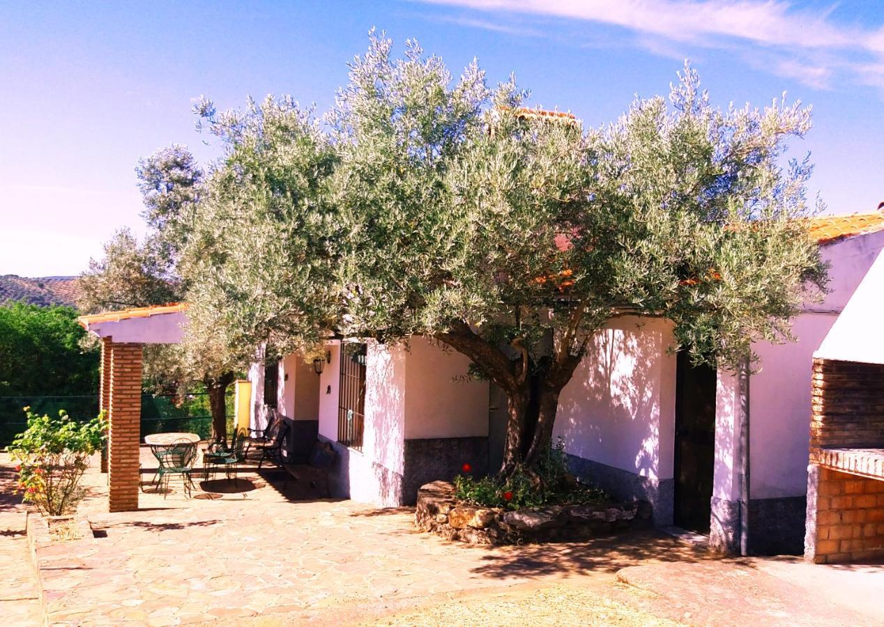 Cortijo Era Grande 2 Villa Córdoba Buitenkant foto